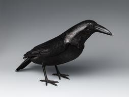 a black crow stands