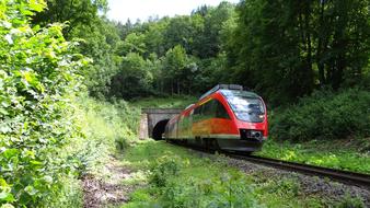 a red train in a green forest