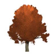 fall tree on a pole