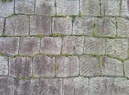 Stone Wall Old and grass