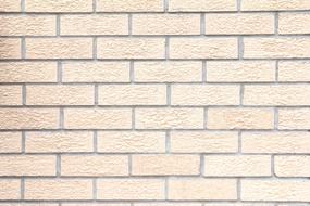 Wall Brick Mortar pink