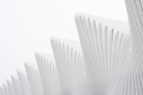 design white Architecture Building
