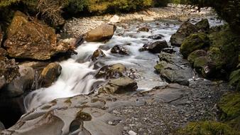 water rocks forest