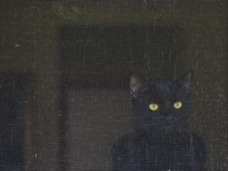 black Cat Screen Eyes