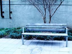 magnificent Bench City