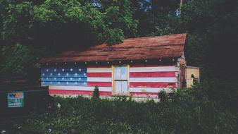 House with American flag among the green trees