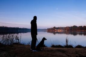 dog Man Silhouette water