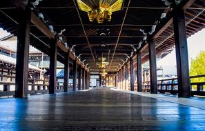 Beautiful and decorated Oku in Japan