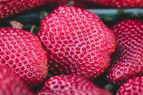 tasty red berries