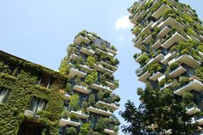 Architecture Building green grass
