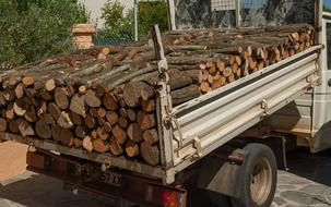 Wood Logs Truck