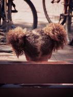 Back view of the girl with afro hair pigtails sitting on the bench