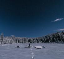 man stands on snowy meadow in front of spruce forest
