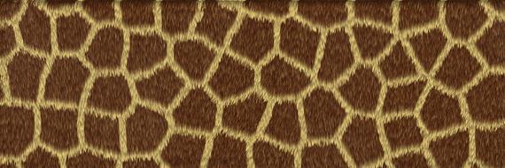 background texture giraffe