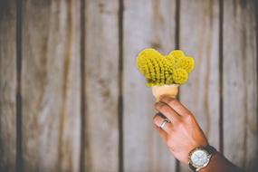 Cactus Ice Cream