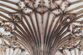 Ceiling Art design architecture
