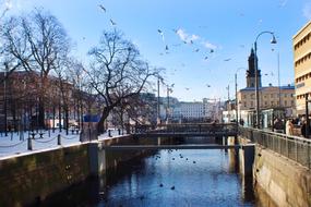 cityscape of a flock of birds flies over the city canal