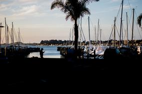 Dark Yacht Boat in marina