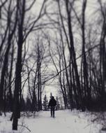 man in winter park in black and white background