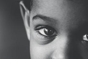 Black And White Baby Boy eye