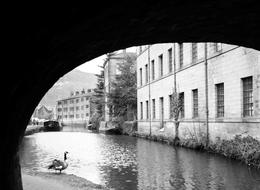 view from under the bridge to the city architecture