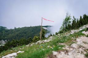 green grass on an elevated mountain