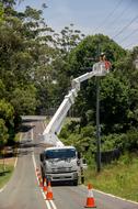 Workers on the cherry picker, on the road with traffic cones, among the green trees