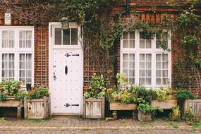 ravishing Home Door