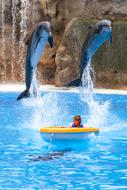 Child and Dolphins Boat