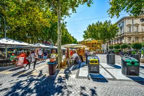 Provence Avignon Market