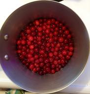 fresh berries in a bucket
