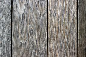 grey Wood door Texture Background