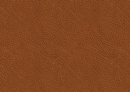 background texture desktop skin brown
