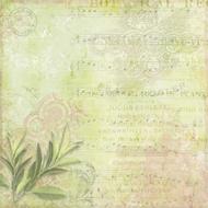 floral pattern on paper