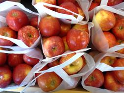 Packaged sweet apples