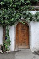 Door Tree