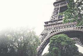 Eiffel Tower Architecture and Trees