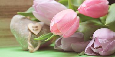 Tulips and heart shape decoration, greeting card