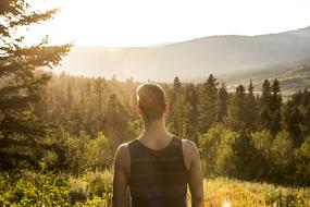 handsome man looking at coniferous forest