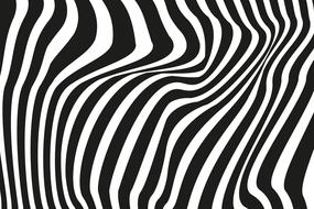 wave line curve abstract black and white