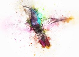 colorful bird as a watercolor painting