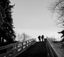 Steps Stairs black and white