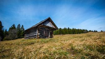 Old cottage, on the beautiful and colorful meadow, near the green trees, under the blue sky, with white clouds