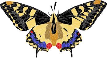 butterfly peacock spring drawing