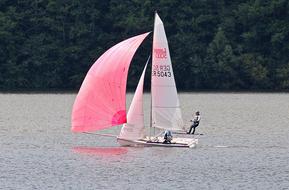 Sailing Boat pink