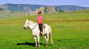 Horse Kid green grass