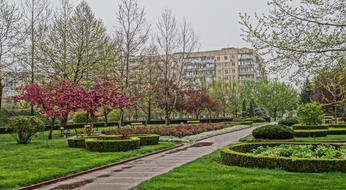 city park on a cloudy day