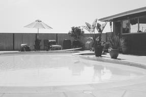 Pool Backyard Umbrella black and white