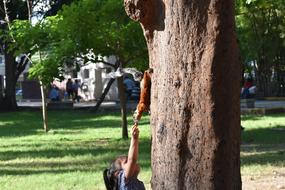 child girl feeding Squirrel in park