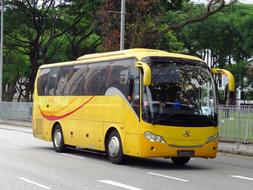 Bus Singapore Transport Yellow